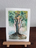 Watercolor