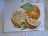 Watercolor