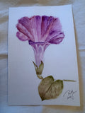 Water color