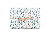 Celebration Gift Wrap - Rolls