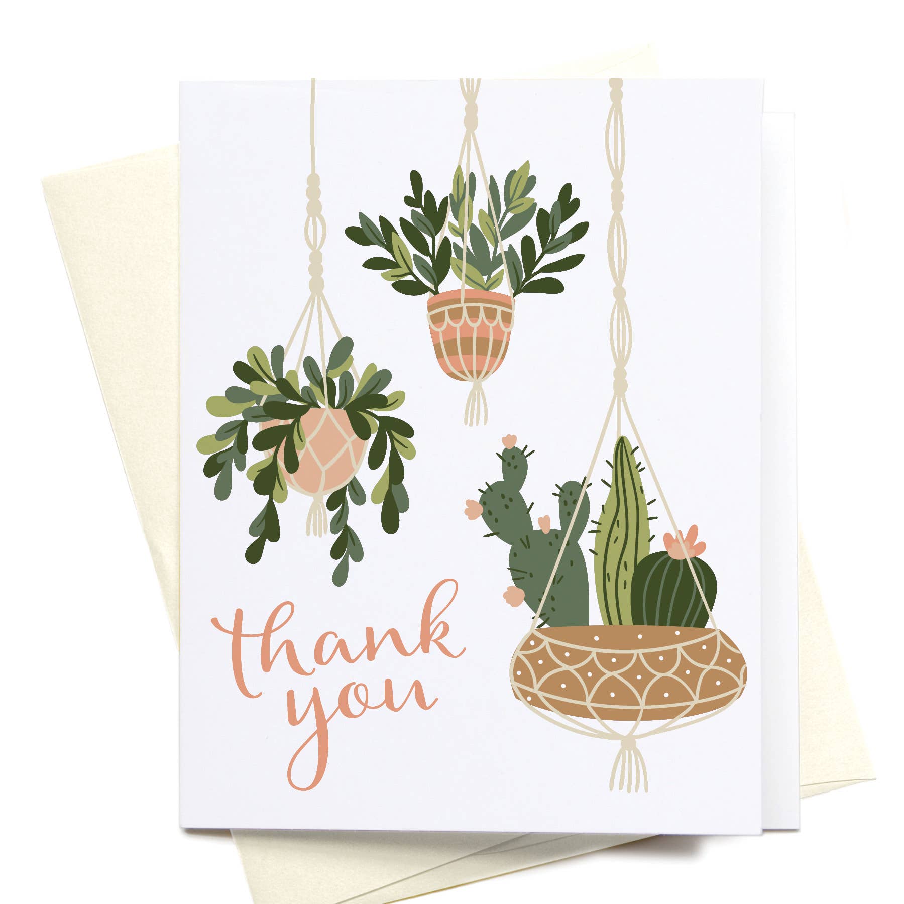 succulent thank you cards Thank You Hanging Plants + Succulents Greeting Card